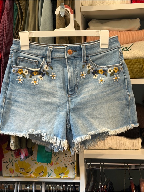 LC Lauren Conrad Pants - Lauren Conrad Embroidered Light Blue Denim Shorts, High-Rise size 4
